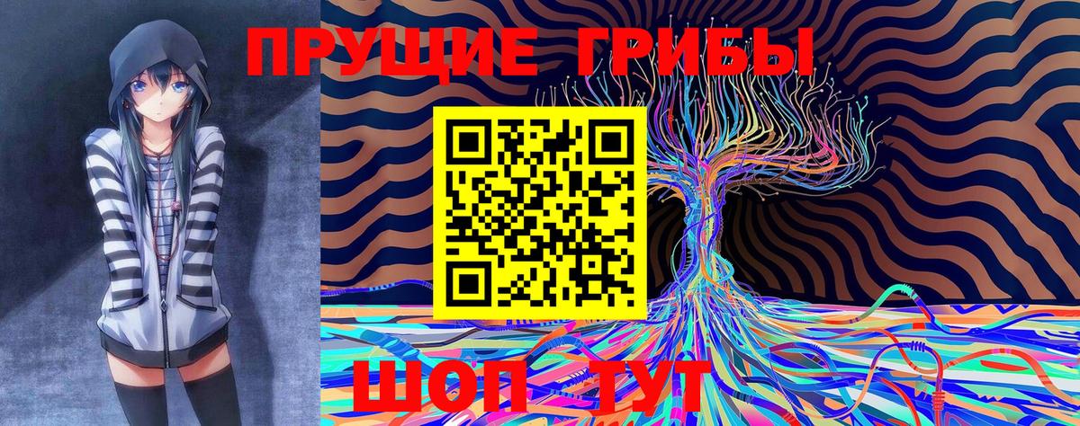 Галлюциногенные грибы GOLDEN TEACHER Бийск