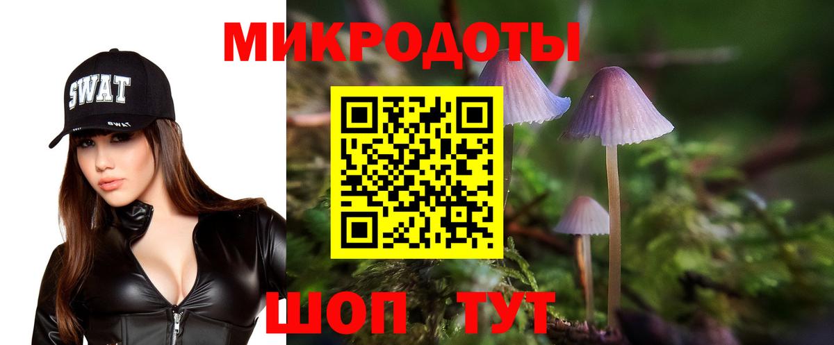 Псилоцибиновые грибы MAGIC MUSHROOMS  наркошоп  Псилоцибиновые грибы Magic Shrooms  Бийск  Вход с VPN 